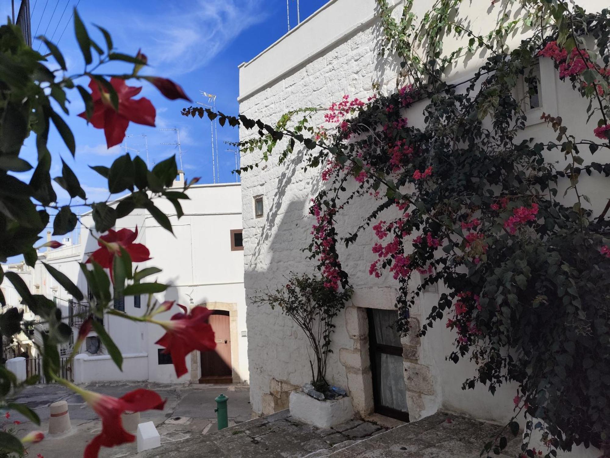 Casa Mirabilis 44 Βίλα Ostuni Εξωτερικό φωτογραφία