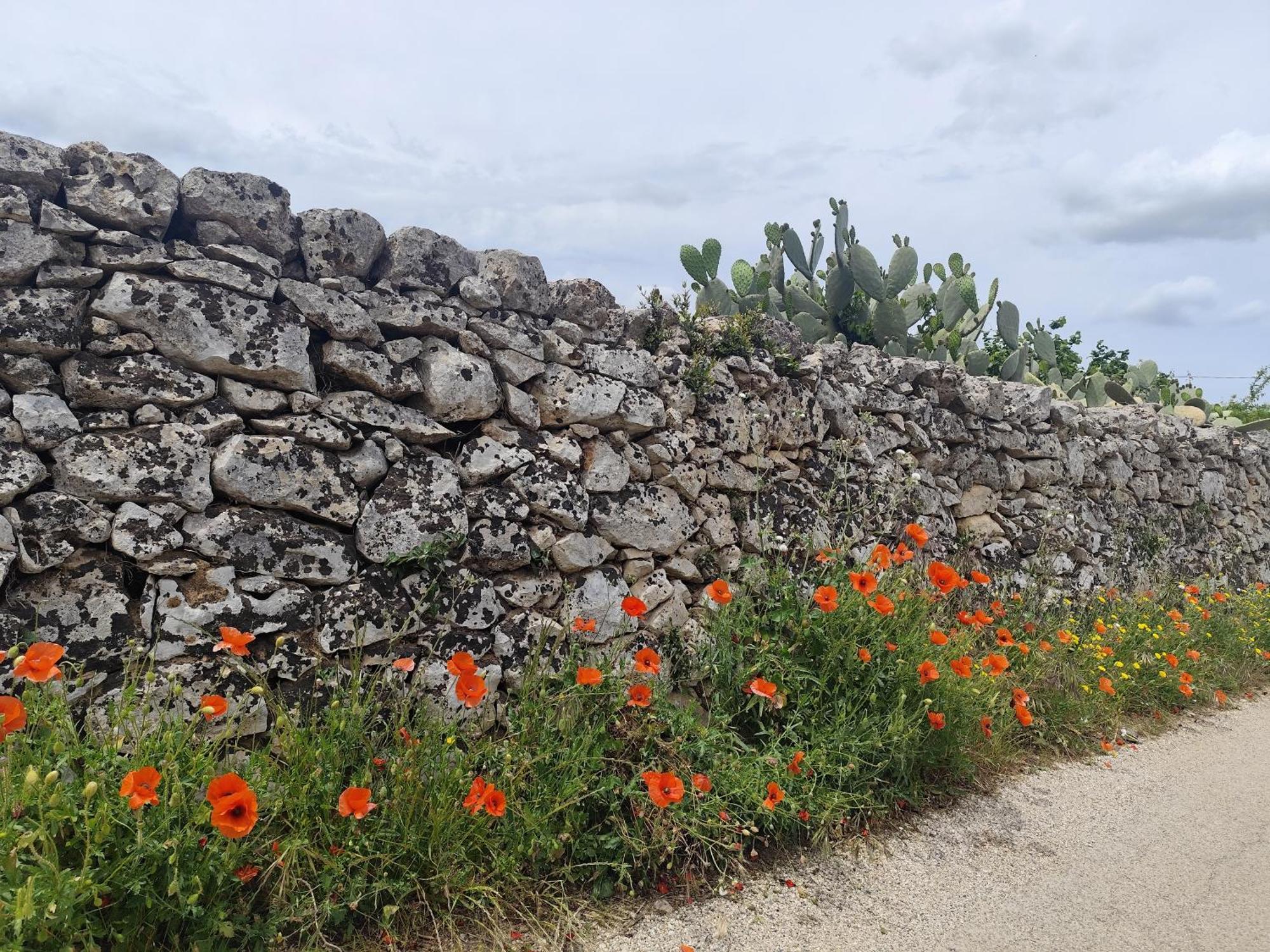 Casa Mirabilis 44 Βίλα Ostuni Εξωτερικό φωτογραφία
